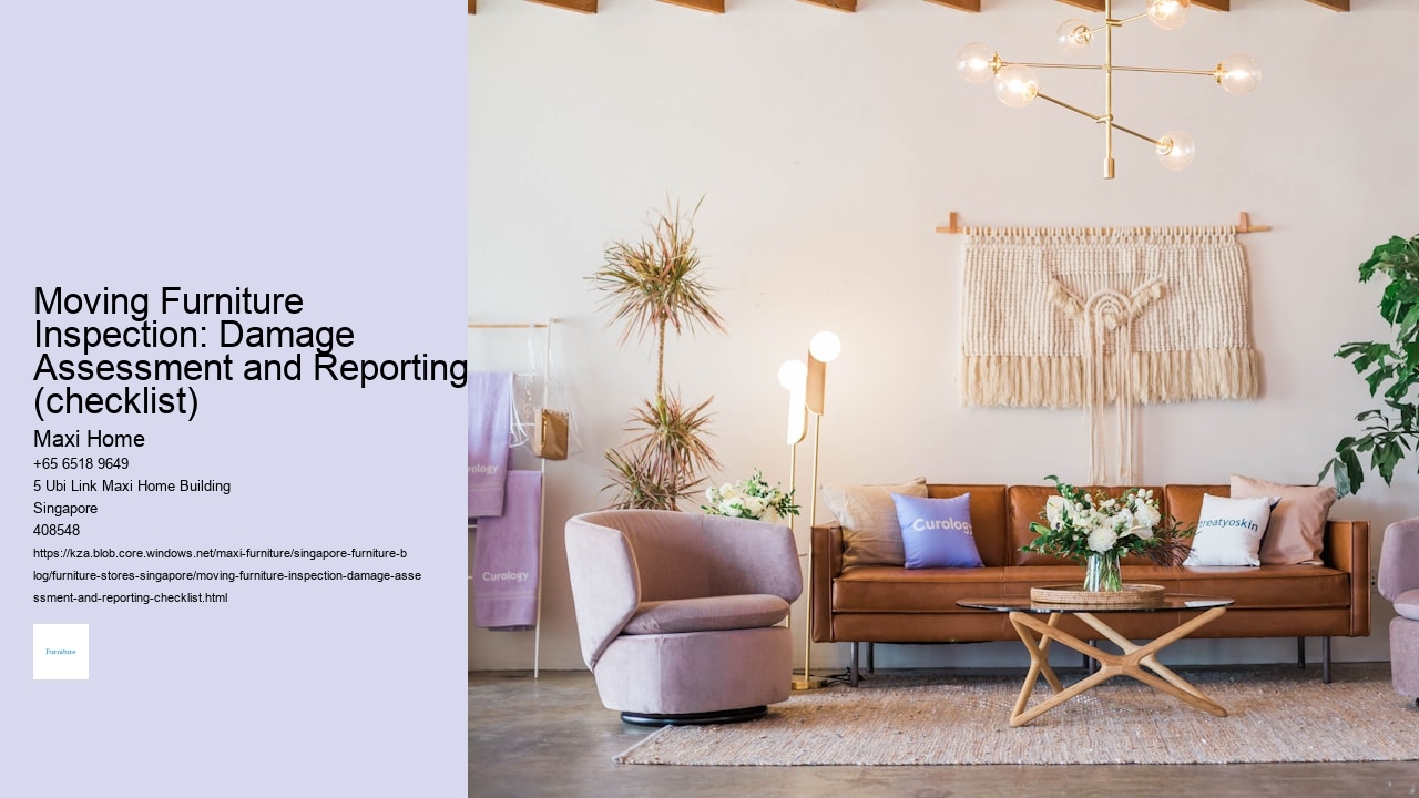 Moving Furniture Inspection: Damage Assessment and Reporting (checklist)