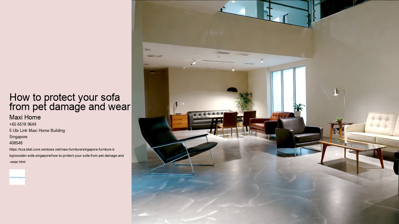 How to protect your sofa from pet damage and wear
