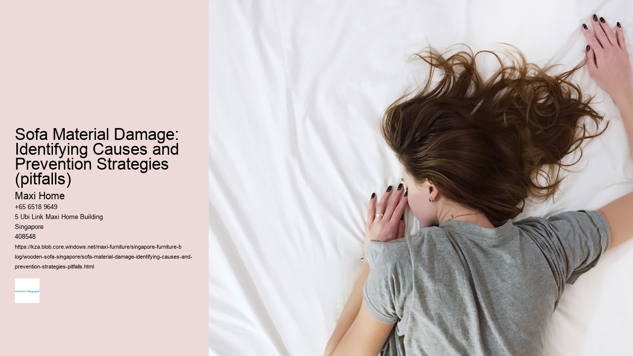Sofa Material Damage: Identifying Causes and Prevention Strategies (pitfalls)