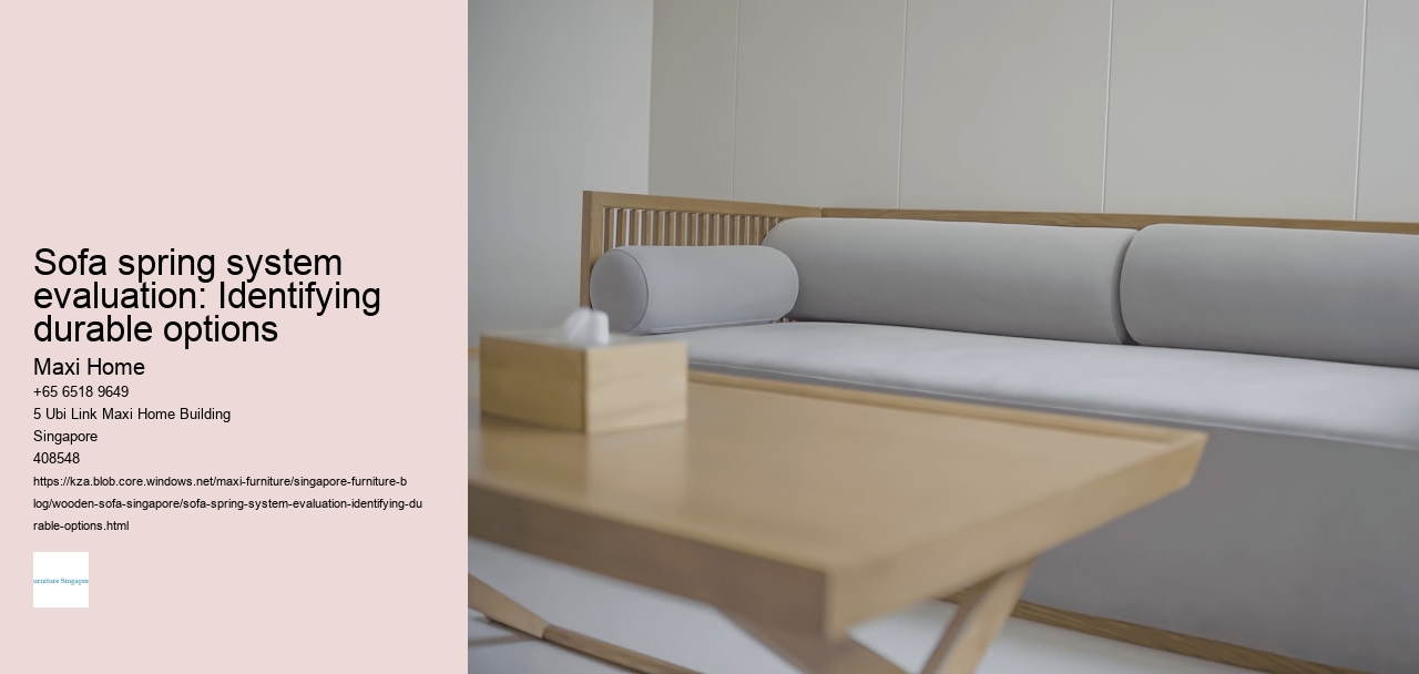 Sofa spring system evaluation: Identifying durable options