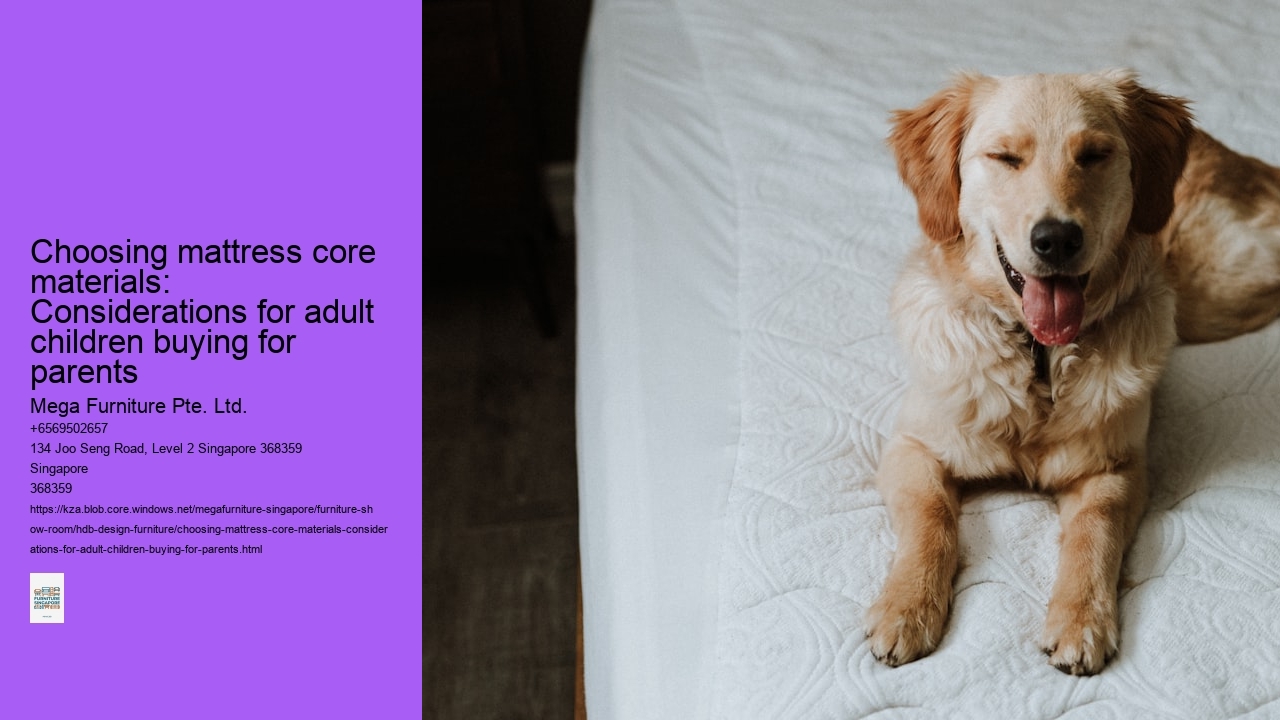 Choosing mattress core materials: Considerations for adult children buying for parents Mega Furniture Pte. Ltd. Choosing mattress core materials: Considerations for adult children buying for parents