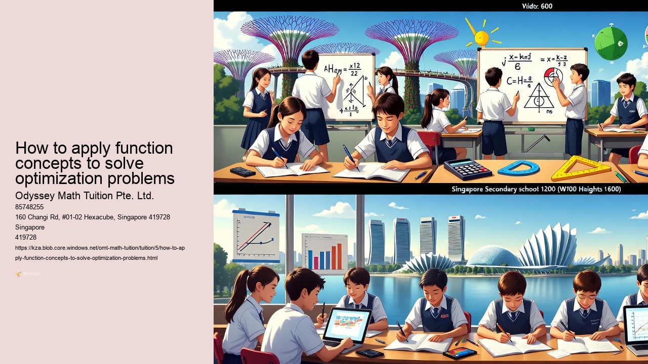 How to apply function concepts to solve optimization problems